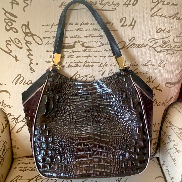 Brahmin - Picture 12 of 12